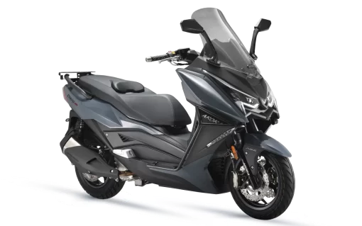 ARORA ARİC - CHİNF 250 - Görsel 3