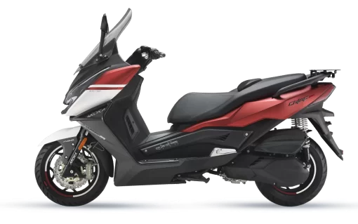 ARORA ARİC - CHİNF 250 - Görsel 2