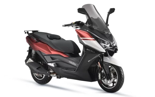 ARORA ARİC - CHİNF 250